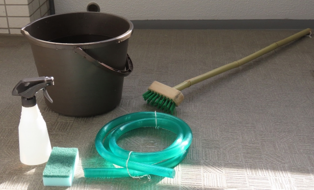 賃貸物件のベランダに生える苔はすぐとれる？苔の原因と掃除方法を解説