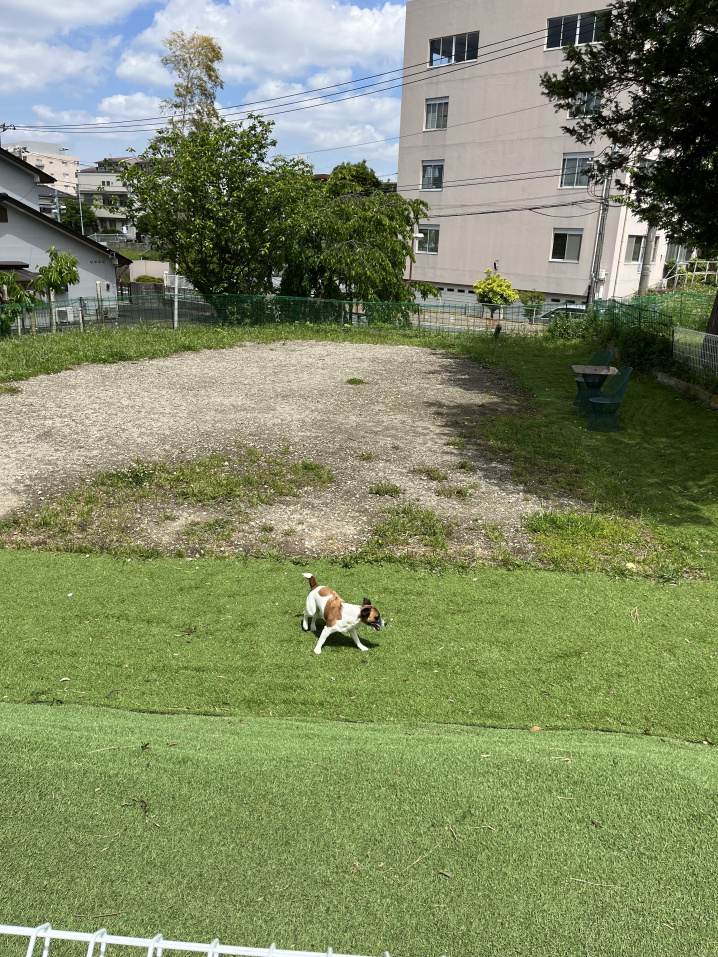 休日♪の画像