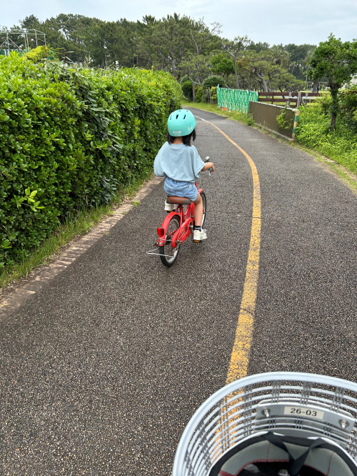 成長の画像