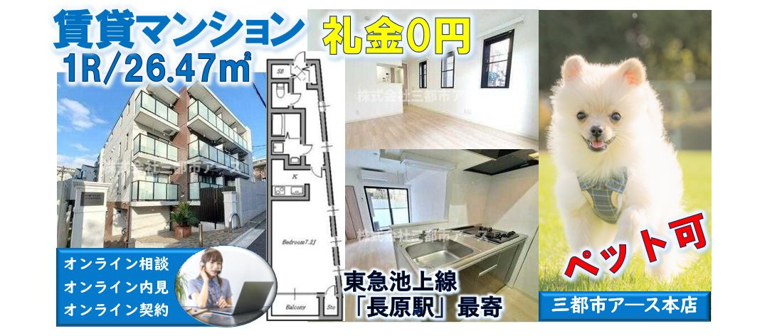 【上池台ゼルコバマンション】