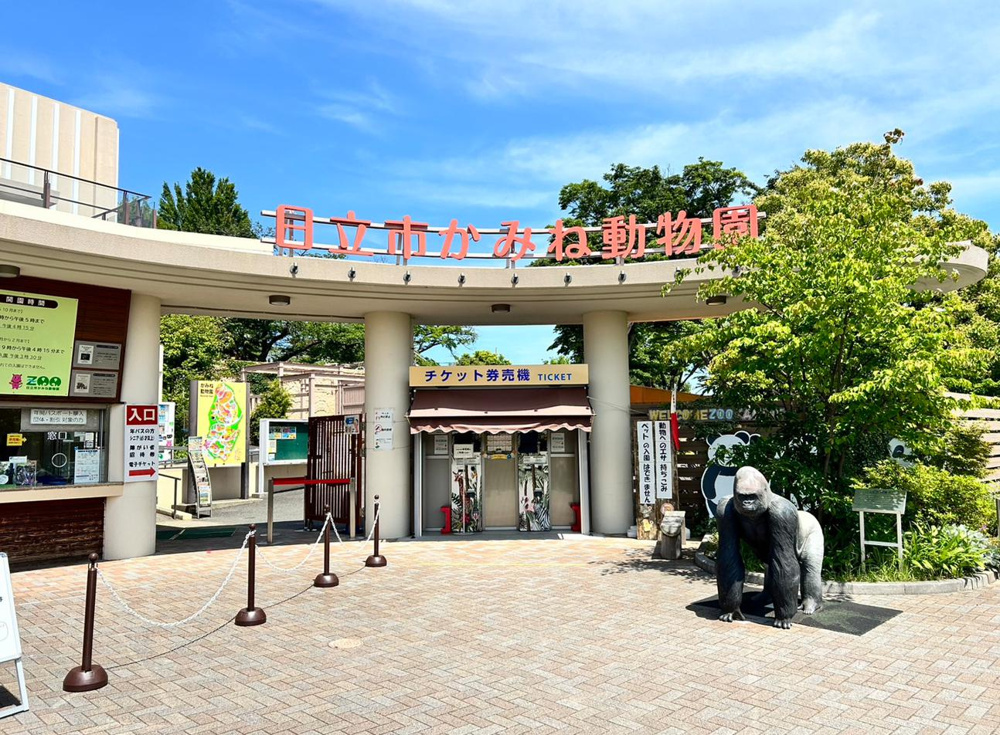 再　訪問の画像