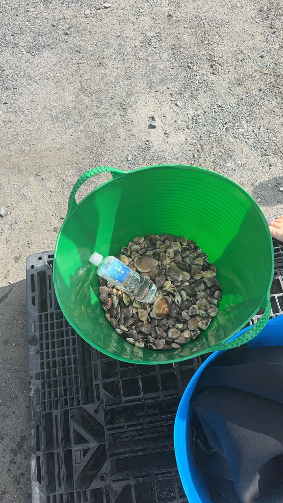 潮干狩りの画像