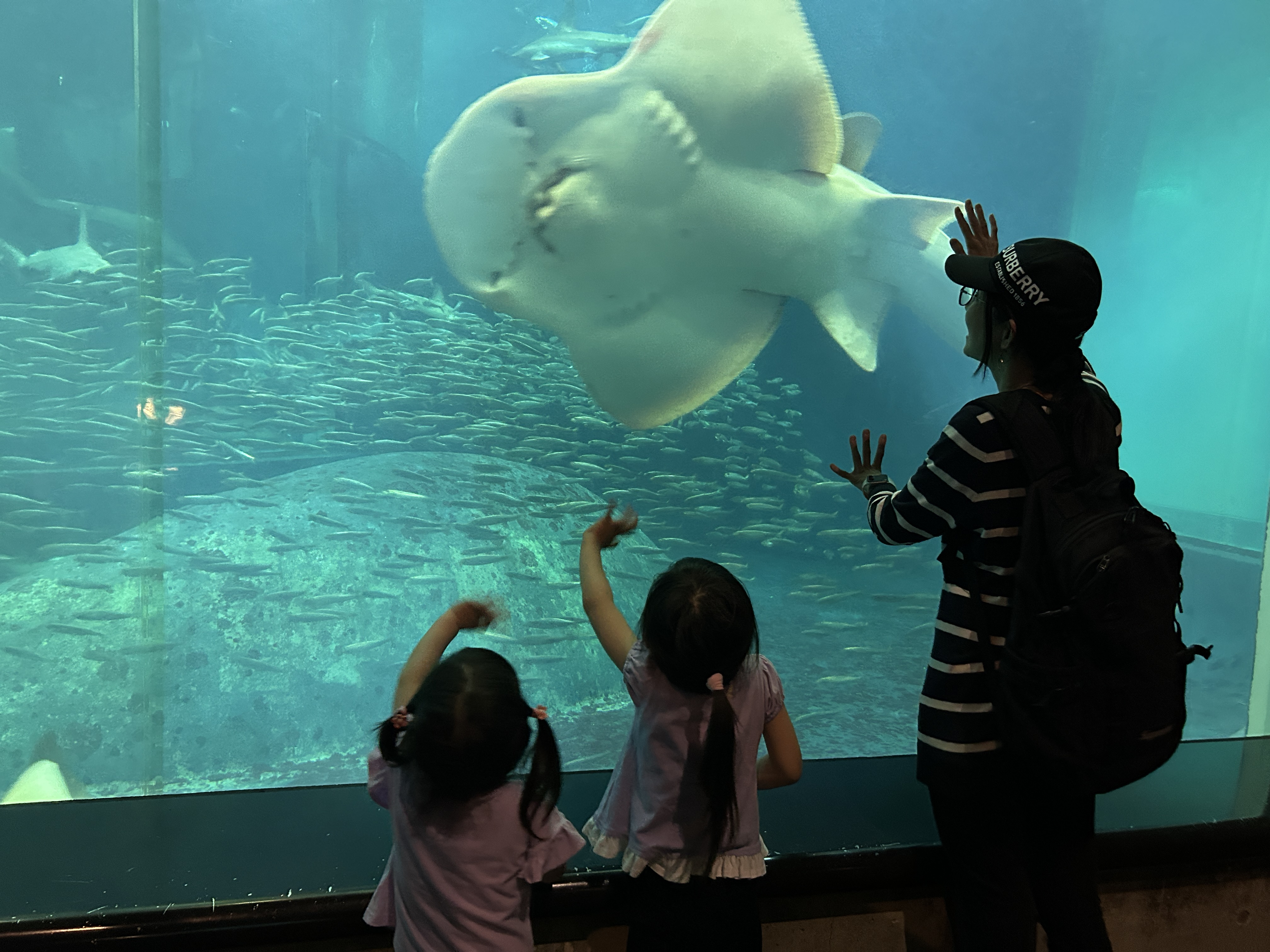 葛西臨海公園に行ってきました！の画像