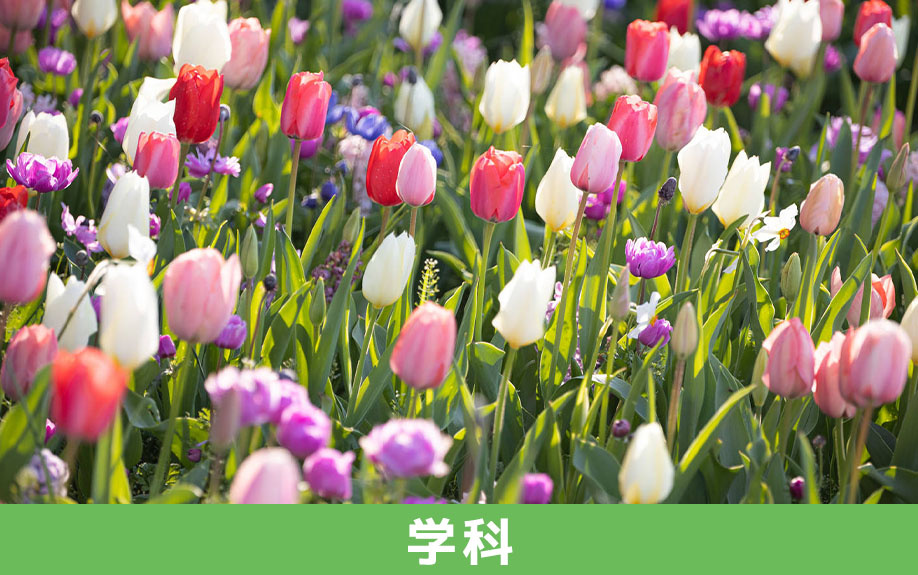 海老名市にある神奈川県立中央農業高等学校の学科