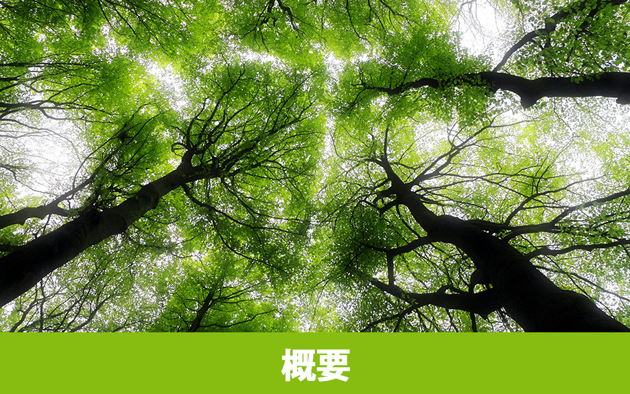 軽井沢町にあるムーゼの森の概要