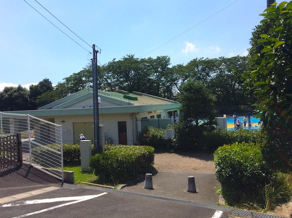 三島市の「上岩崎プール」の魅力ご紹介！！の画像