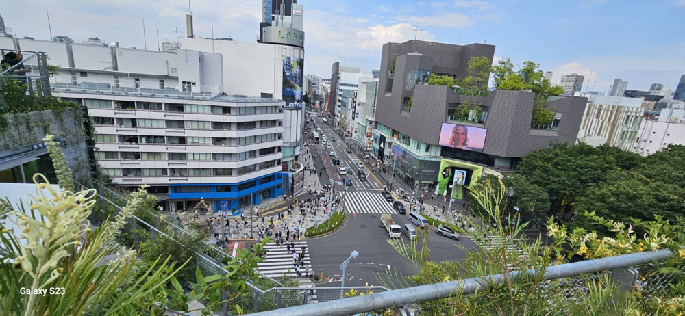 ハラカド散歩の画像
