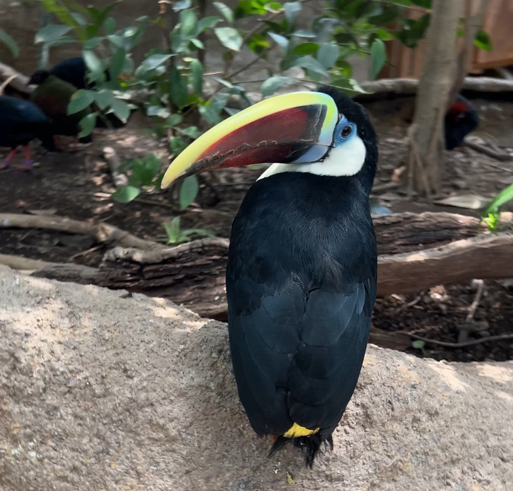 クチコミがいい動物園の画像