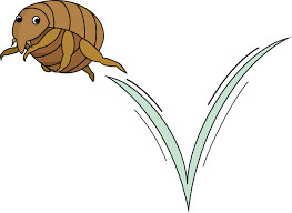 職場の環境作りの画像