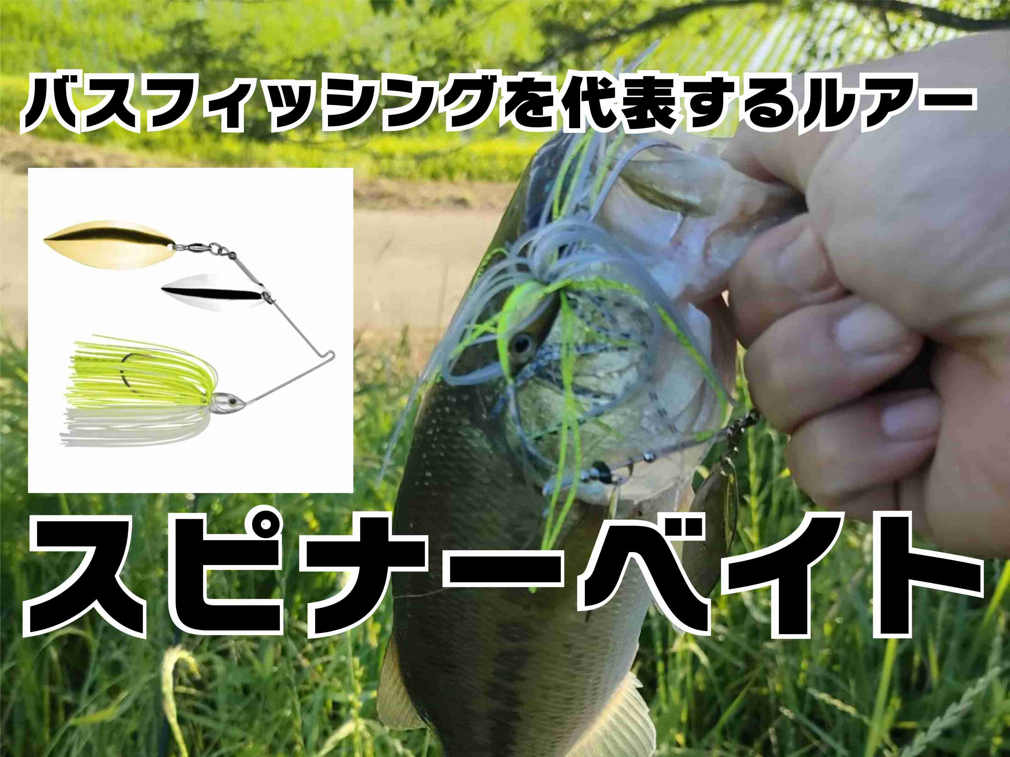 ５月３０日：釣りの話しの画像