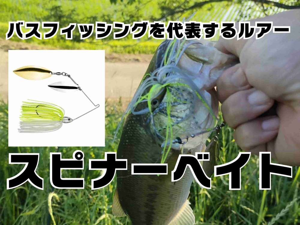 ５月３０日：釣りの話しの画像