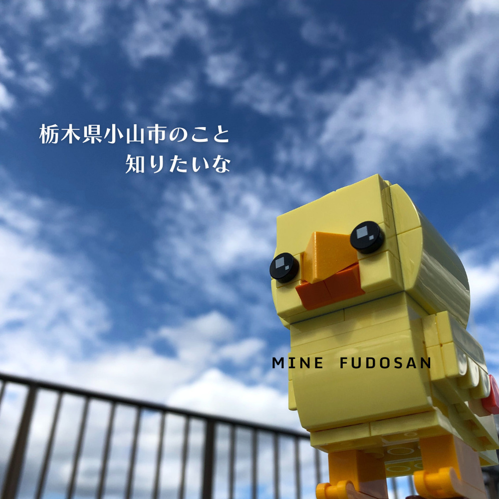 栃木県小山市ってどんなところ？不動産の動向もお伝えしますの画像