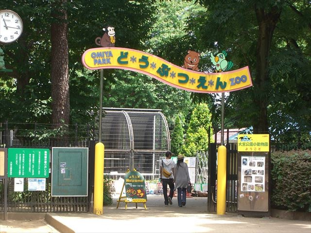 無料動物園♪の画像