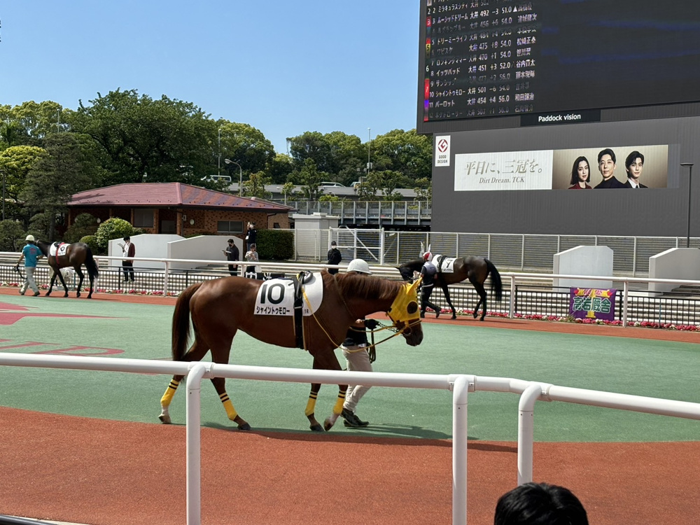 競馬場に行ってきました(^^♪の画像