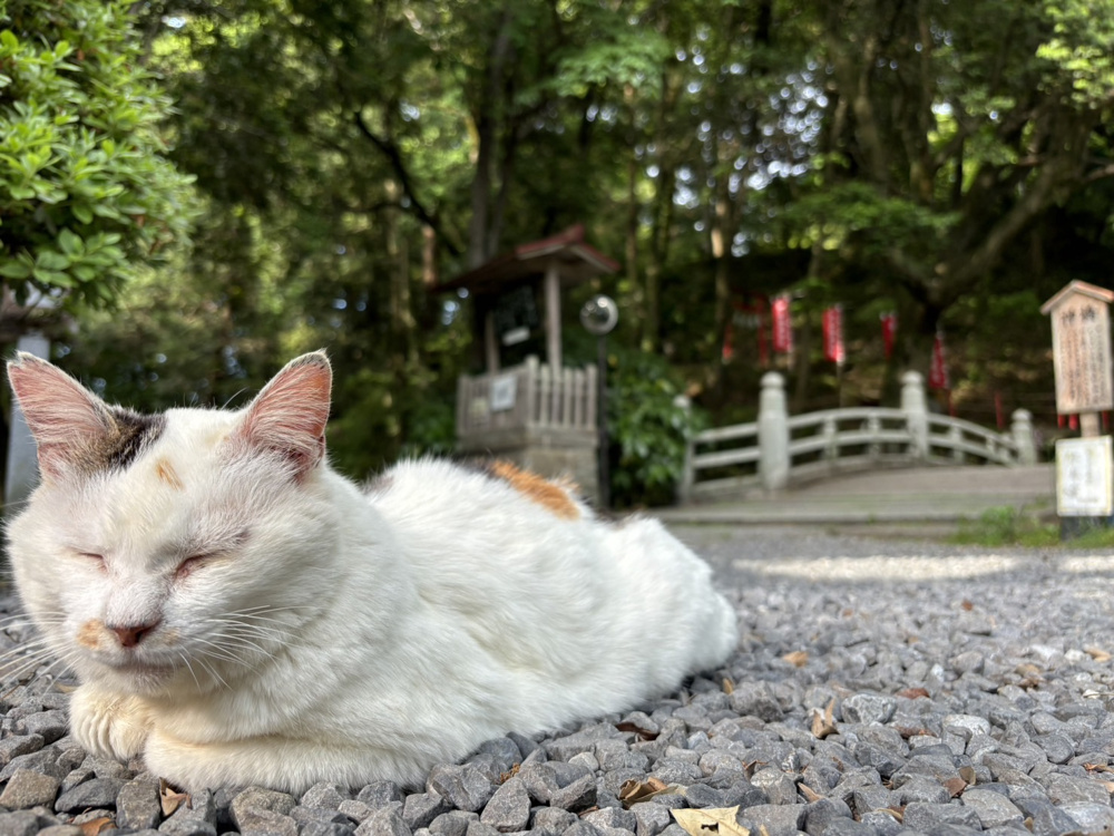 趣味満喫！の画像