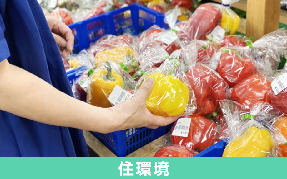 岩国市の住環境