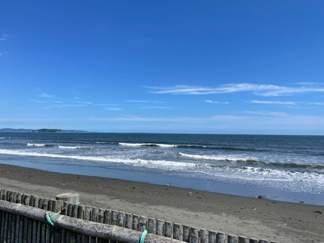 TURF&SURFの画像