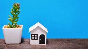 2024年（令和6年）度税制改正の内容【購入】の画像