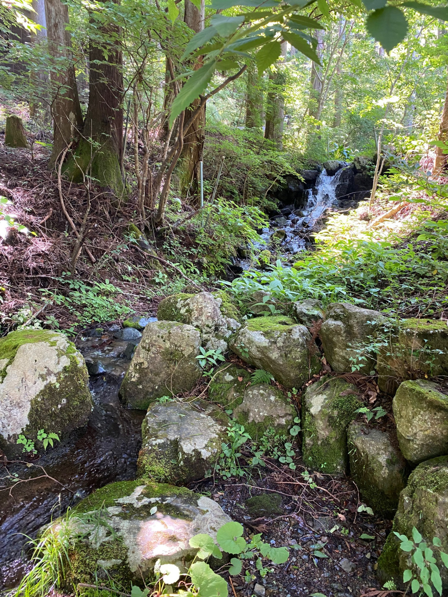 キャンプでパワーチャージ完了！の画像