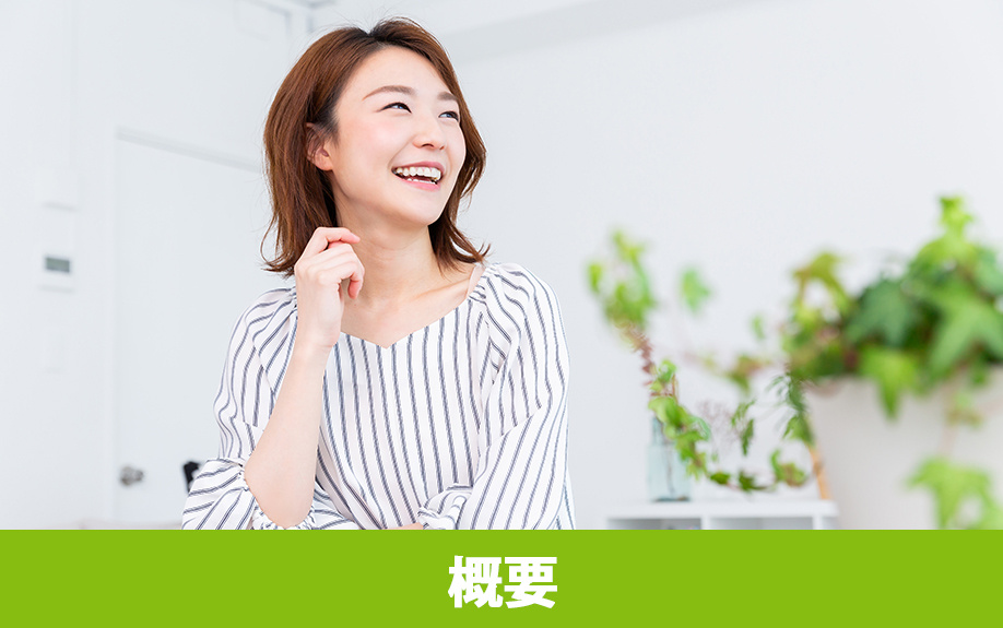 軽井沢町の概要