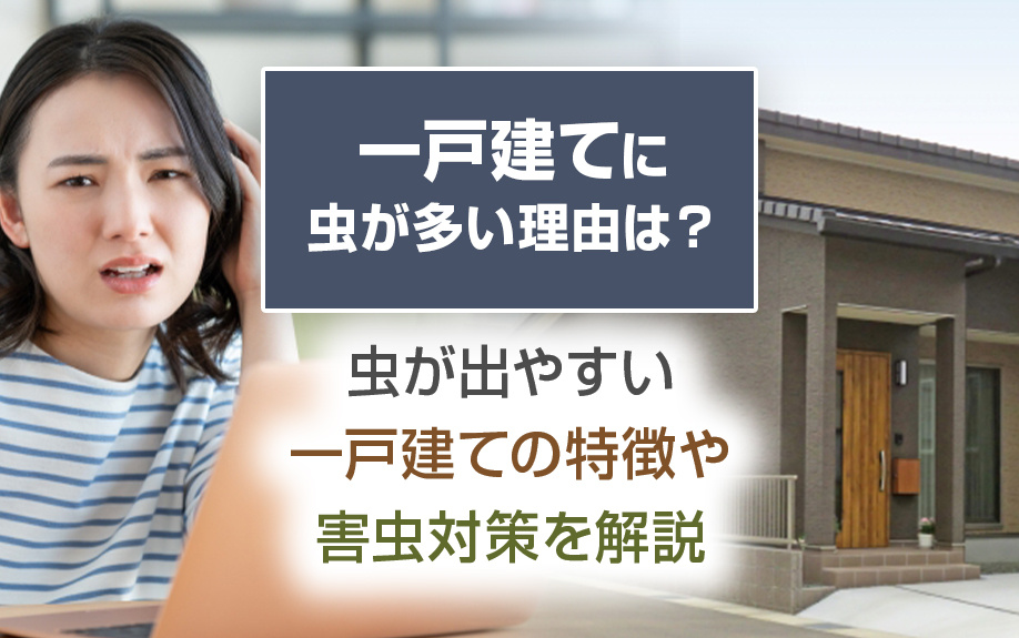 一戸建てに虫が多い理由は？虫が出やすい一戸建ての特徴や害虫対策を解説の画像