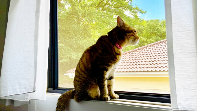 建売住宅に自分で網戸を設置する場合