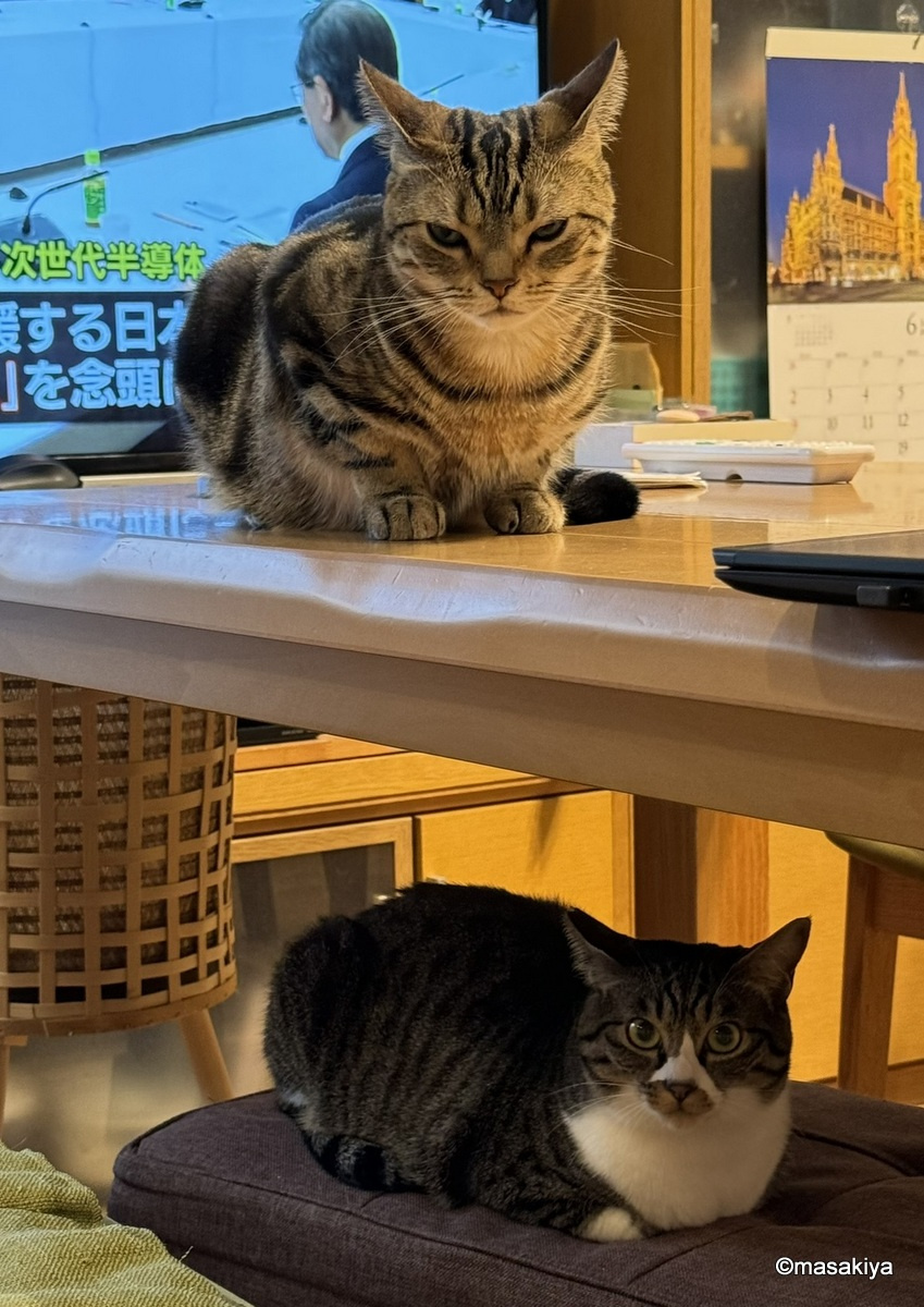 朝ご飯の時間の画像