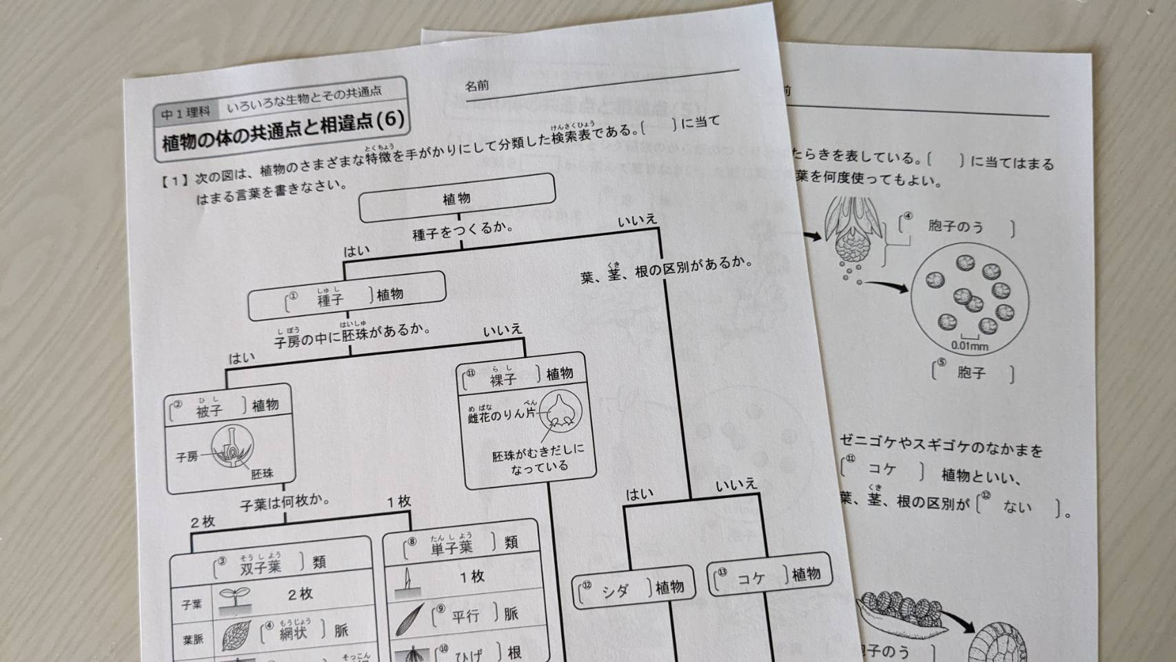 事務サポートSのブログ『いつでも、どこでも、誰でも学べる時代✨』の画像