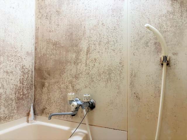 人が住んでいない家は傷みやすい？そのわけや劣化を防ぐ方法もご紹介の画像