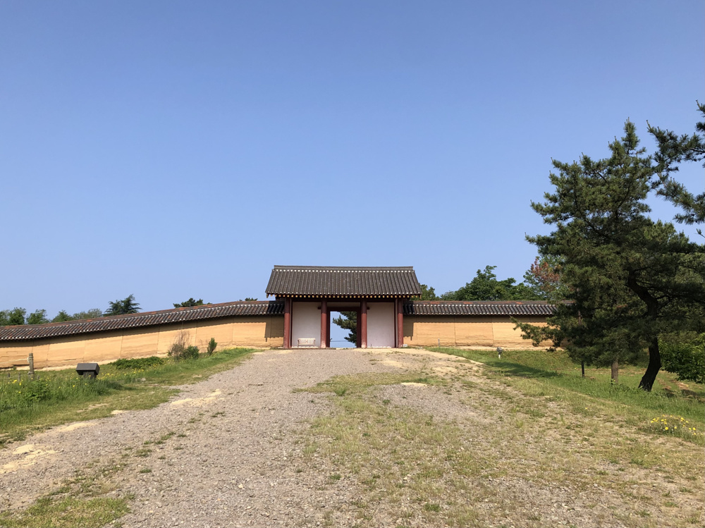 とある日のお散歩の画像