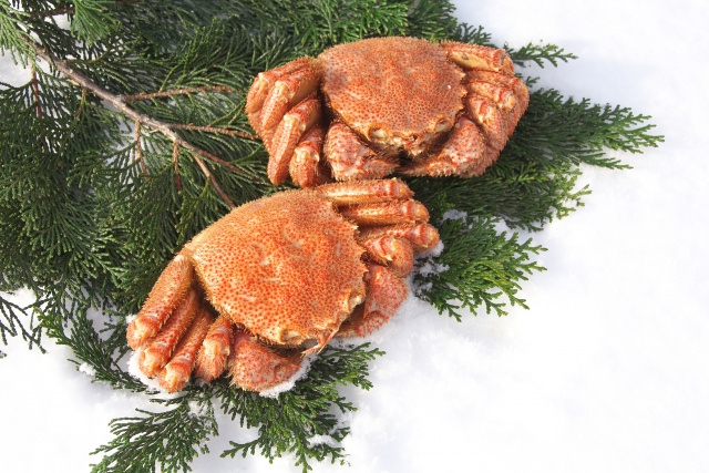 返礼品を受け取った後に引っ越しをした場合