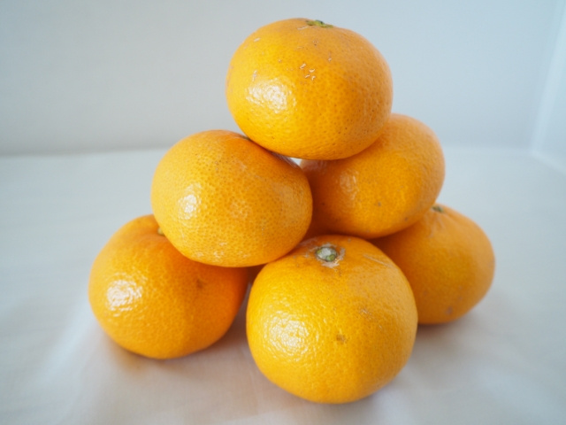 ふるさと納税は引っ越しをした後に行った方が楽