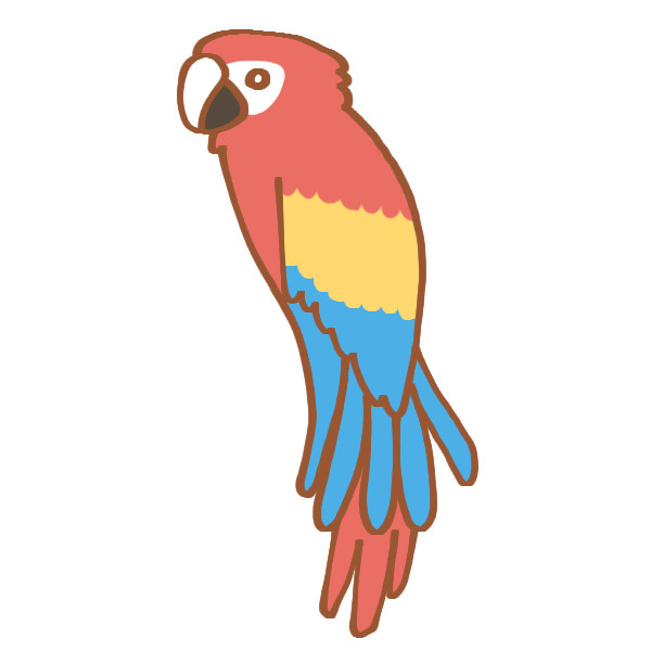オウムとインコの日の画像