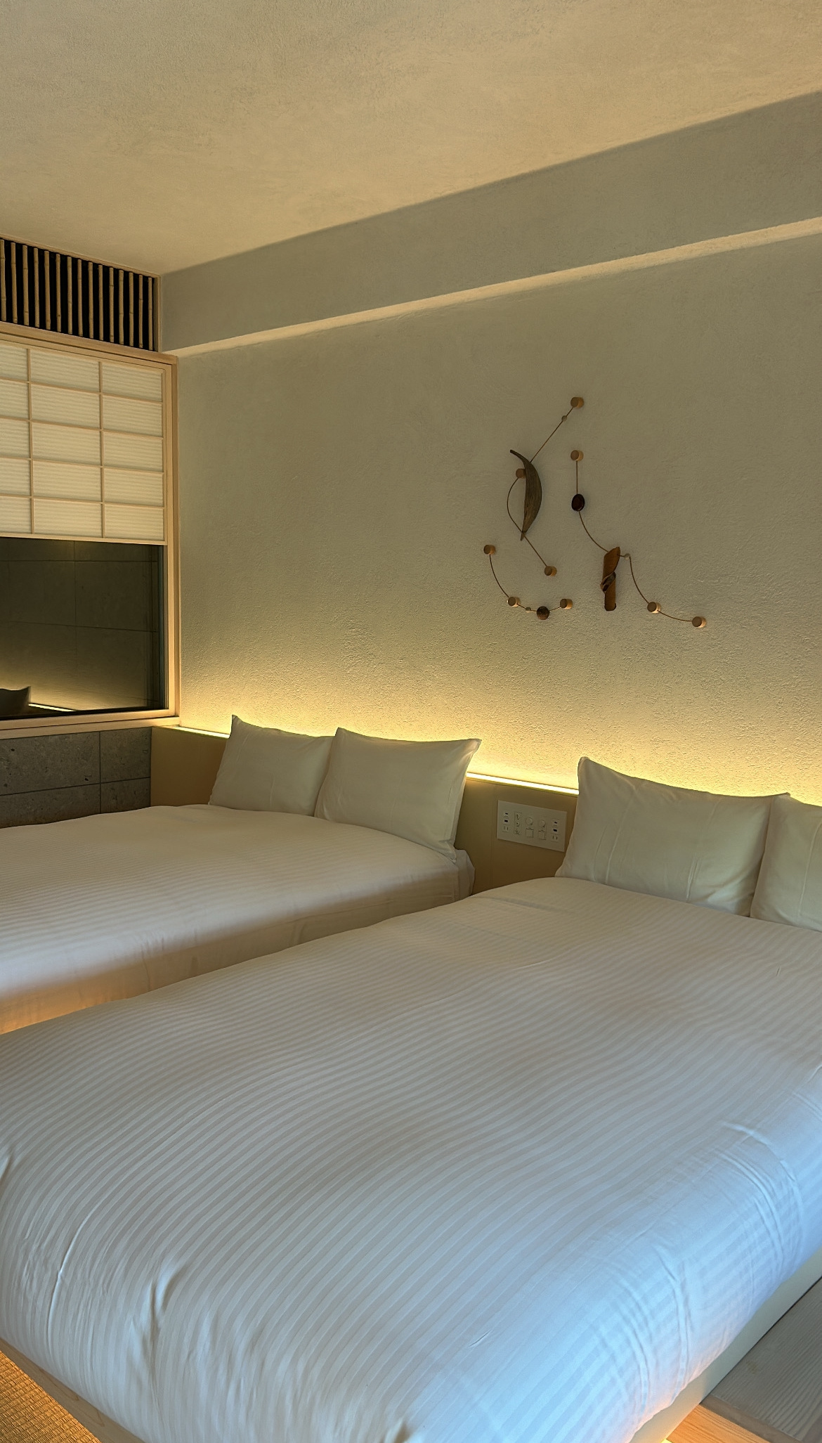 新しい家族が増えました！？の画像