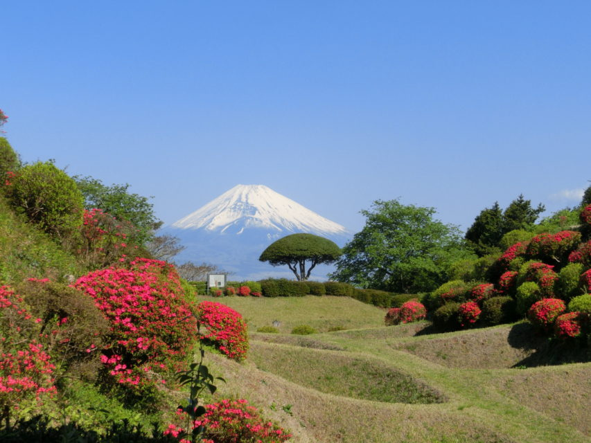三島市の「山中城跡公園」の魅力ご紹介！！の画像