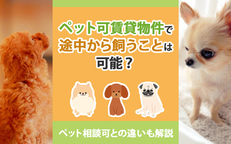 ペット可賃貸物件で途中から飼うことは可能？ペット相談可との違いも解説の画像