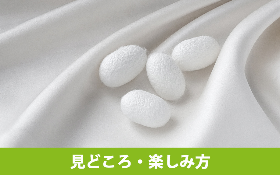 富岡市にある富岡製糸場の見どころ・楽しみ方