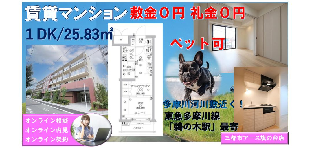 【セジョリ鵜の木】