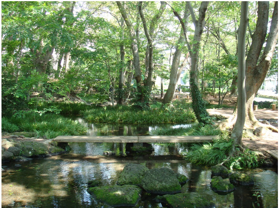 三島市の「白滝公園」の魅力ご紹介！！<br>の画像