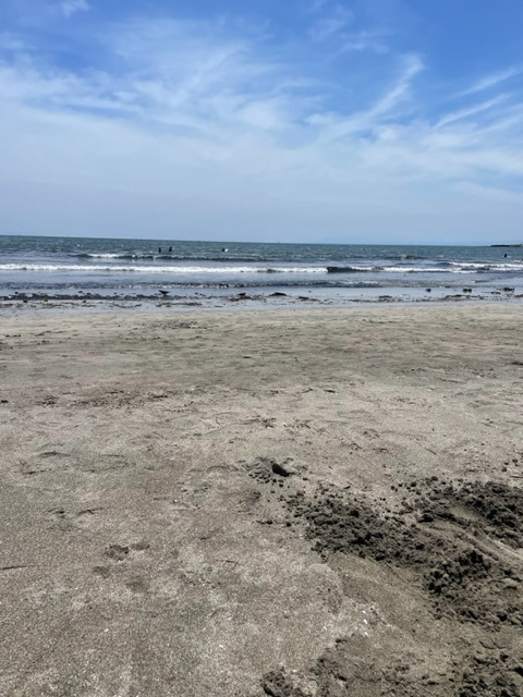 夏がもうの画像