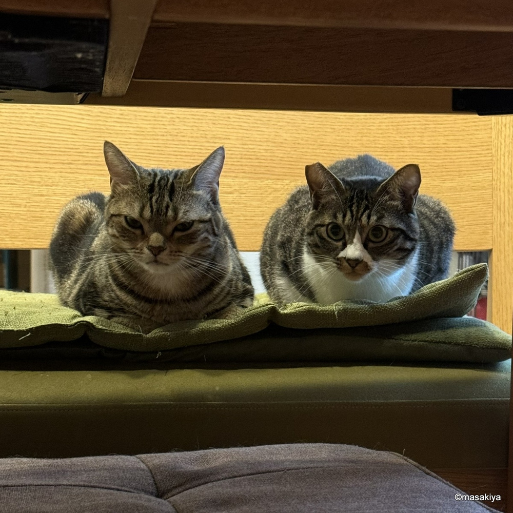 新しいパソコンの画像