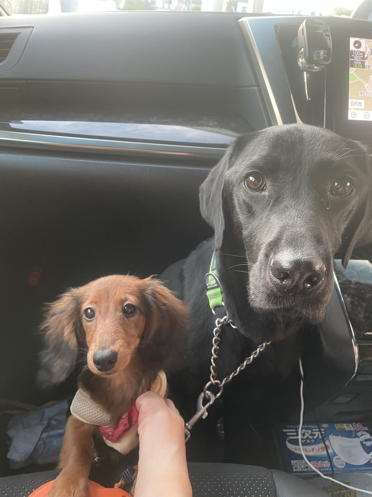 皆さま、お気づきかと思いますが…！！の画像