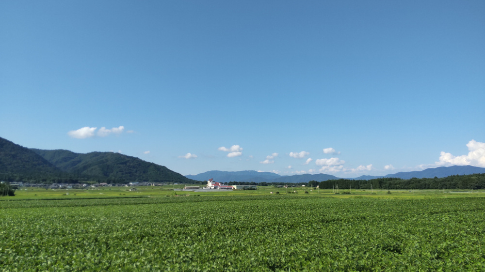 市街化調整区域の農地を売却するには？売却方法や注意点を解説の画像