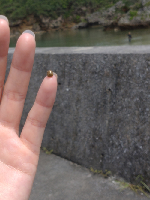 メンテナンスなんす。の画像