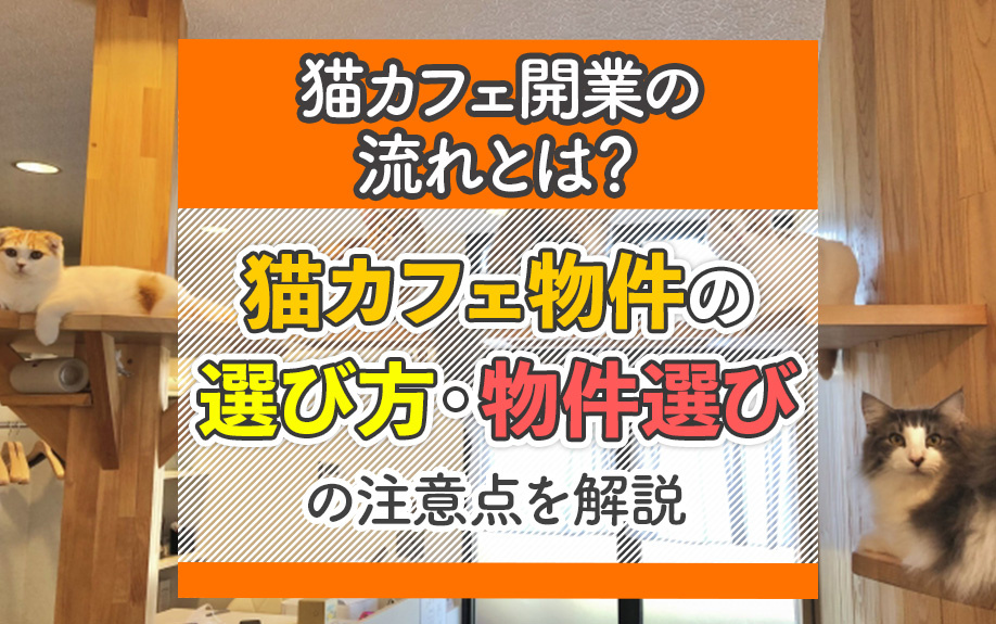 猫カフェ開業の流れとは？猫カフェ物件の選び方・物件選びの注意点を解説