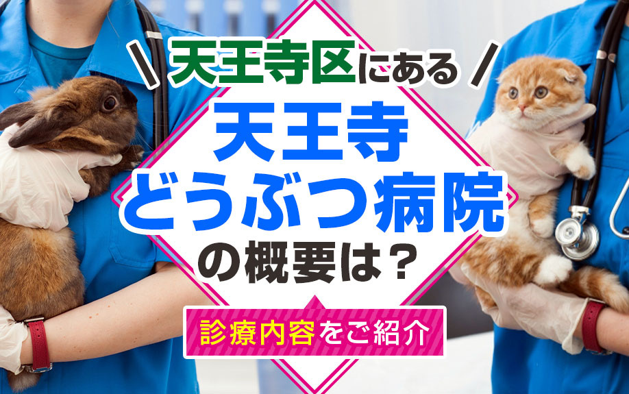 天王寺区にある天王寺どうぶつ病院の概要は？診療内容をご紹介