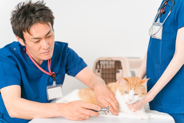 和歌山市にある和歌山獣医綜合病院の概要