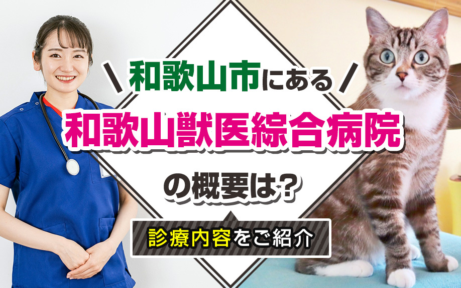 和歌山市にある和歌山獣医綜合病院の概要は？診療内容をご紹介の画像