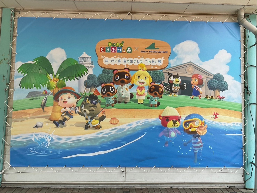 期間限定コラボ！の画像