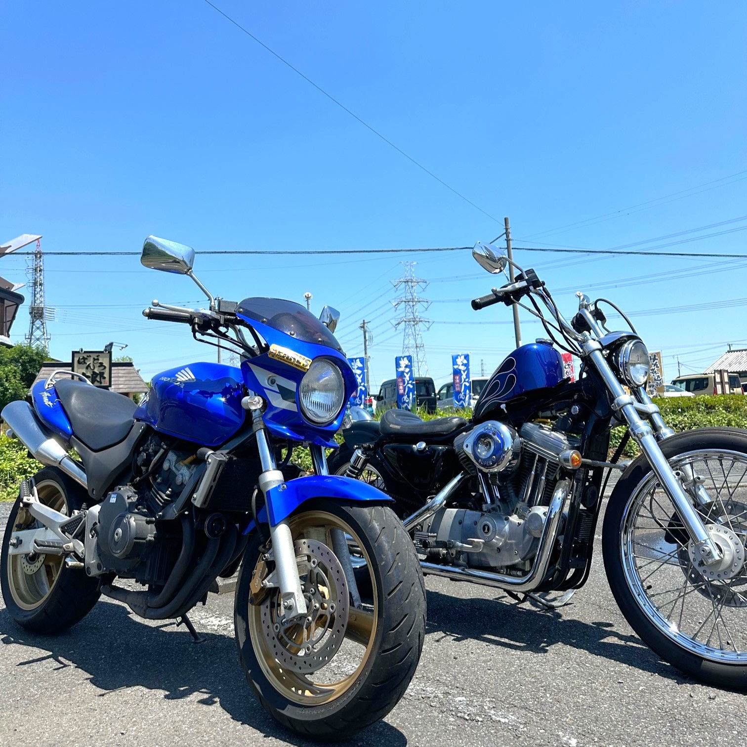 久しぶりの相棒です！の画像